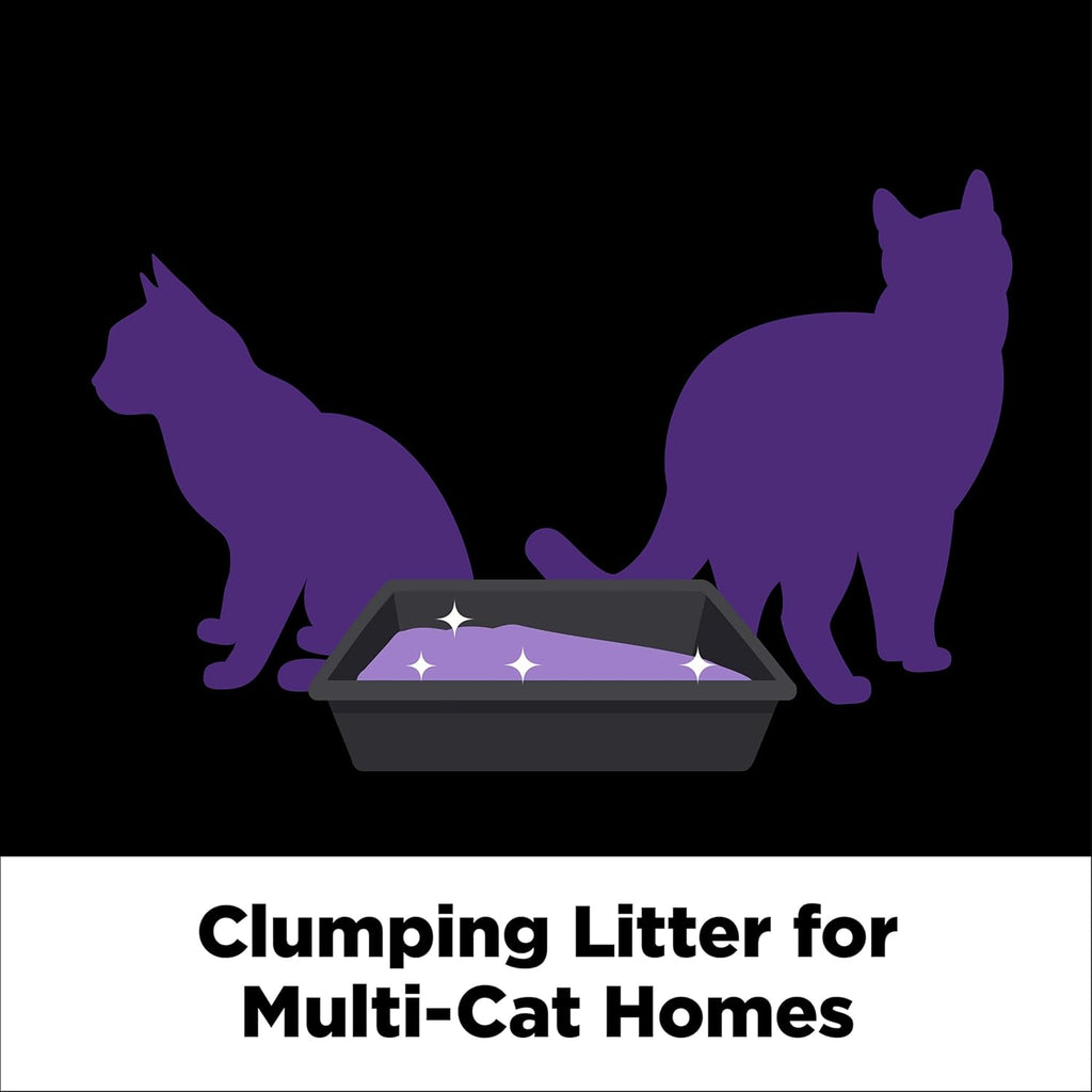 Cloud Control Platinum Clumping Cat Litter Odor Control, 37 Lbs.