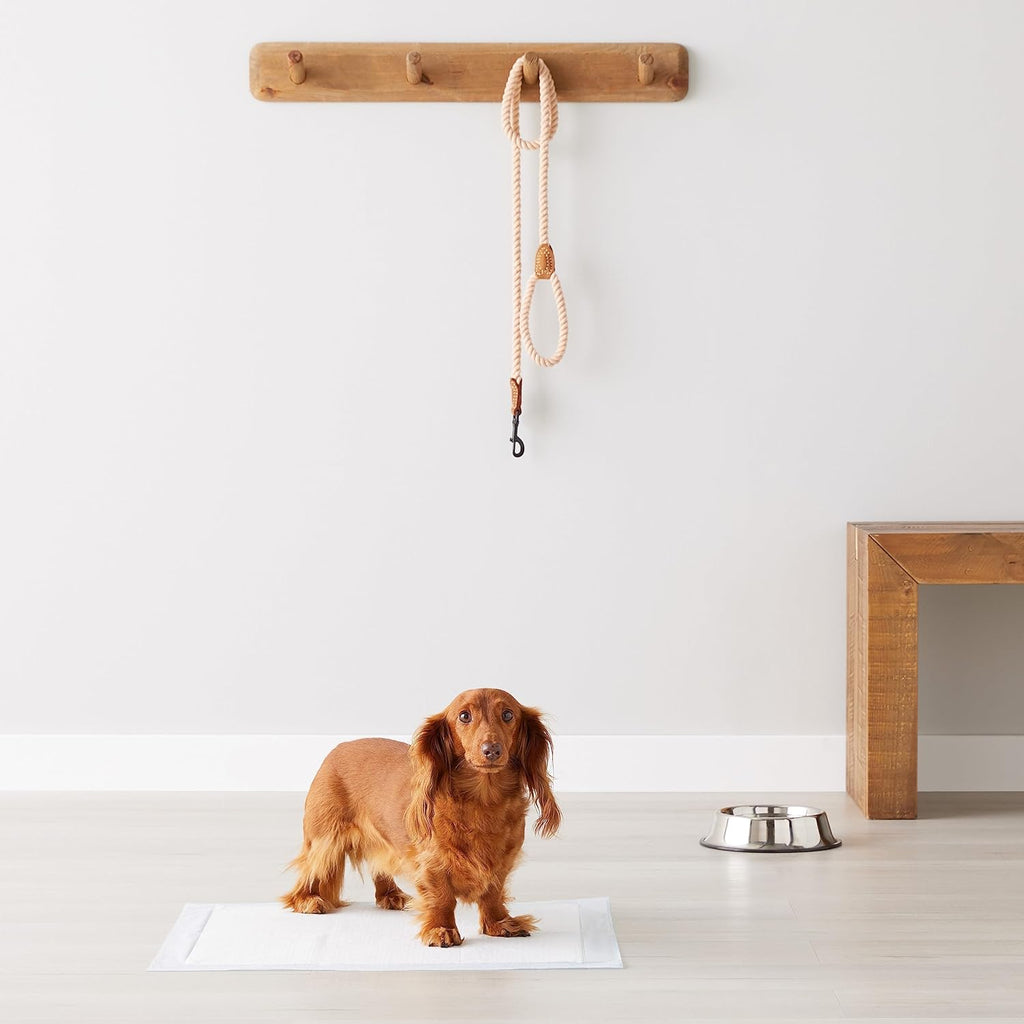 X-Large Absorbent Puppy Pads, Leak-Proof, Quick-Dry, 28 X 34 Inches, Pack of 50, Blue & White